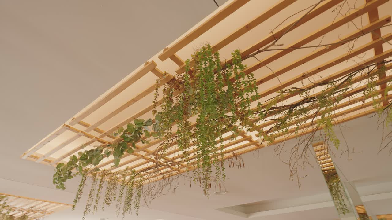 Green plants and vines hanging from wooden ceiling structure