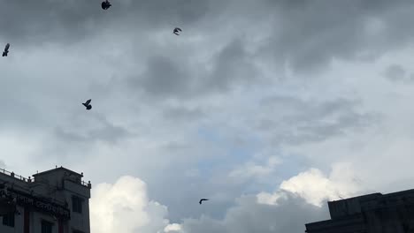 silueta de palomas que vuelan lentamente contra un cielo dramático, creando una vista fascinante de la vida silvestre urbana