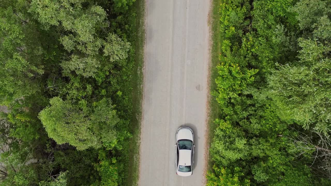 vista superior de un coche conduciendo a través de la carretera con árboles del bosque