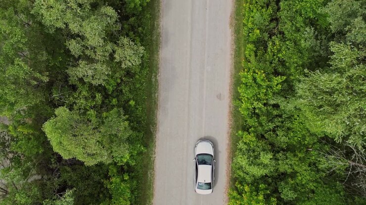 Vista dall'alto di un'auto che percorre la strada tra gli alberi della foresta