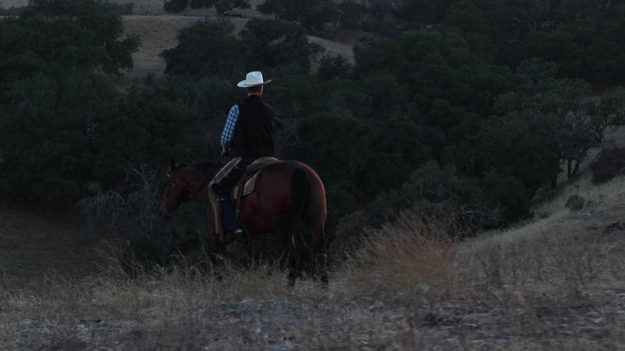vaquero escaneando su entorno en su caballo en busca de ganado
