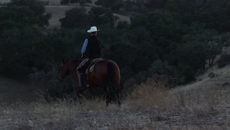 cowboy scanning his surroundings on his horse looking for cattle