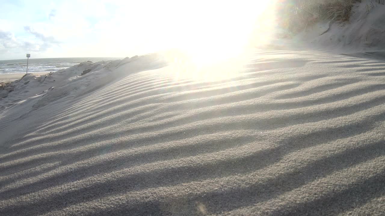 Sand dunes with dune grass in the storm of the North Sea, hiking dunes, dike protection, Sondervig, Jutland, Denmark, 4k