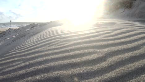 sand dunes with dune grass in the storm of the north sea, hiking dunes, dike protection, sondervig, jutland, denmark, 4k