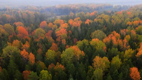 A-beautiful-aerial-view-of-dense-woody-terrain-with-colorful-autumn-foliage,-orange-and-red-leafs