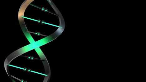 el zoom dna-sx es de color verde translúcido.