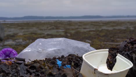 contaminación plástica en la playa con algas marinas algunas colinas en el horizonte