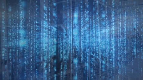 animación del procesamiento de datos digitales a través de servidores informáticos