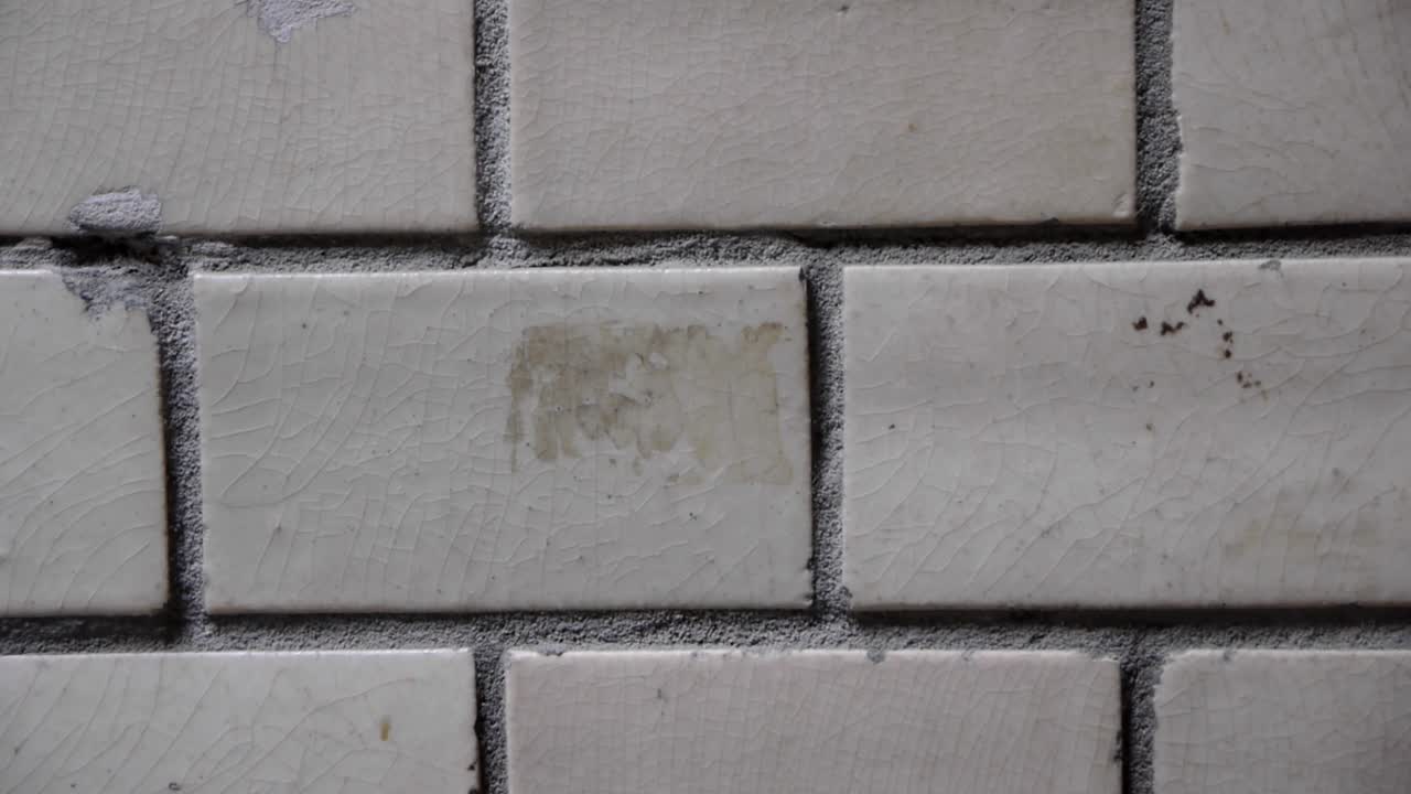 베를린의 hackische höfe에서 타일로 만든 흰 벽