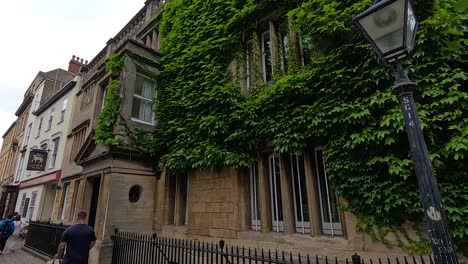 people walking past ivy-covered building in oxford