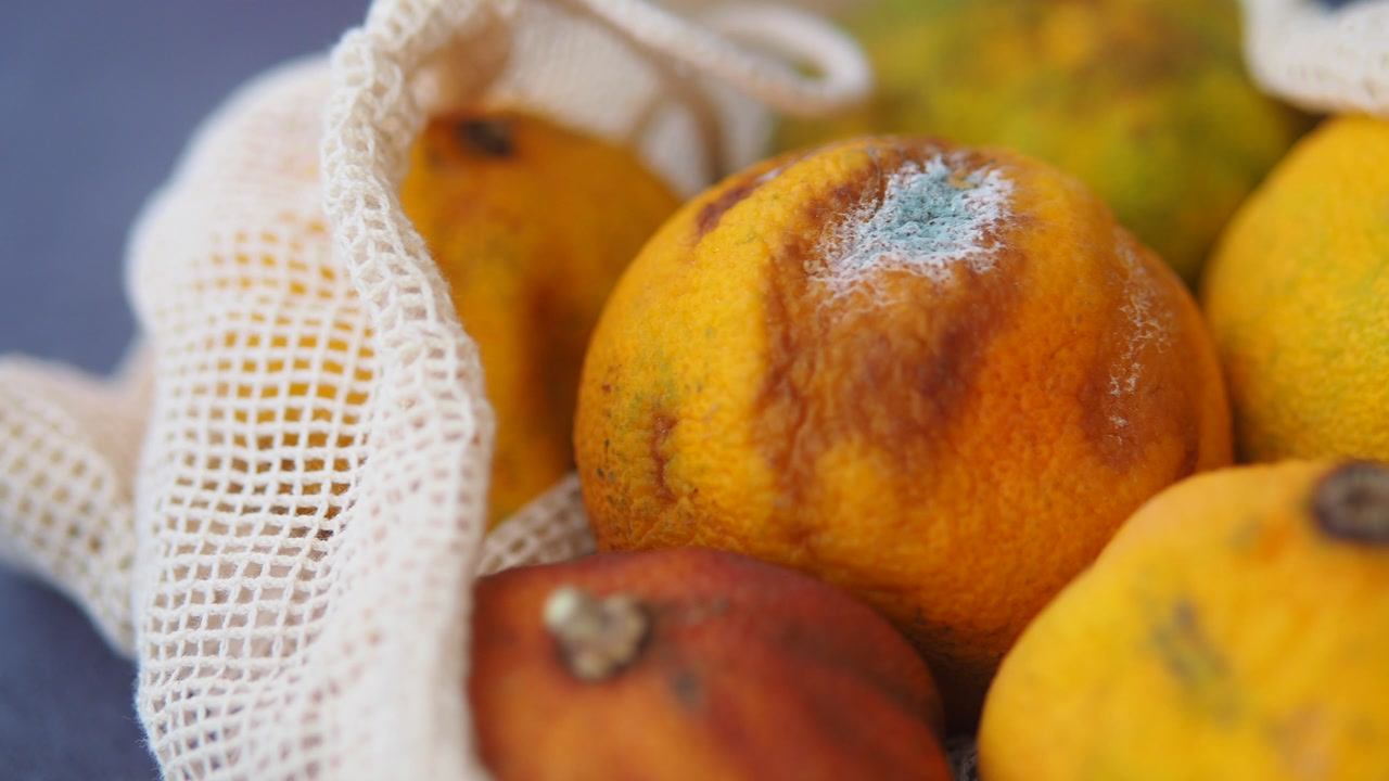 Rotten Oranges with Mold in a Reusable Mesh Bag