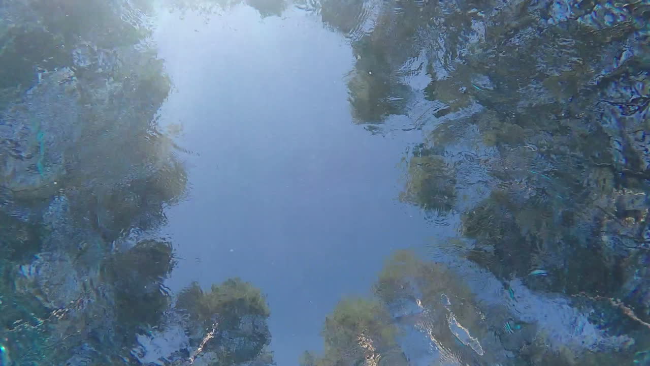 한 남자가 수영장에서 수영하고 카메라 수중 비디오 슬로우 모션을 통해 수영합니다.