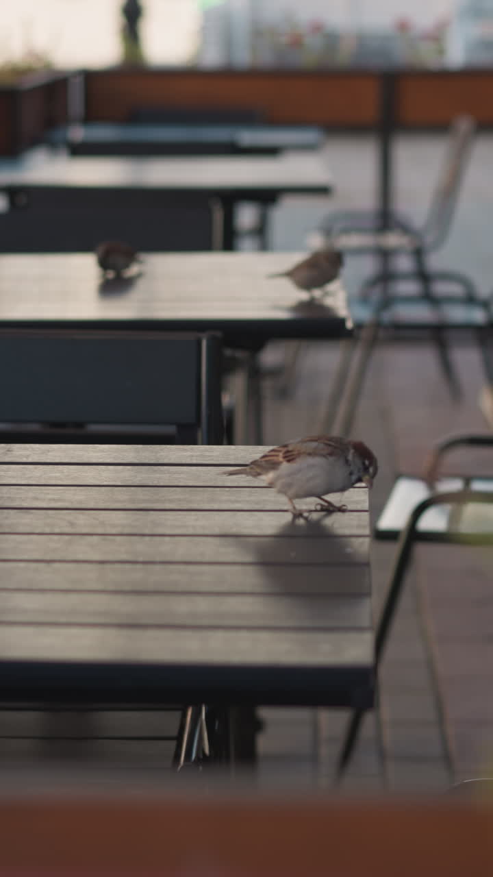 테이블을 둘러싸고 있는 비나무와 함께 야외 카페 테이블, 그리고 평화롭고 활기찬 도시 분위기를 보여주는 조용한 거리 장면