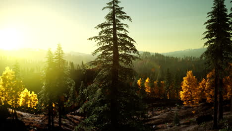 bright-sunset-in-the-mountains