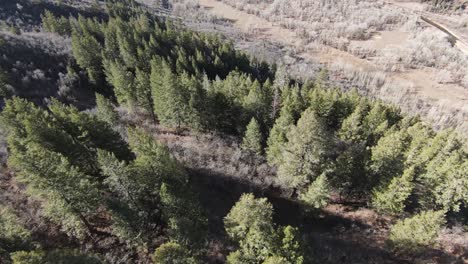 Fpv-Taucht-In-Der-Nähe-Von-Felsen-Ab