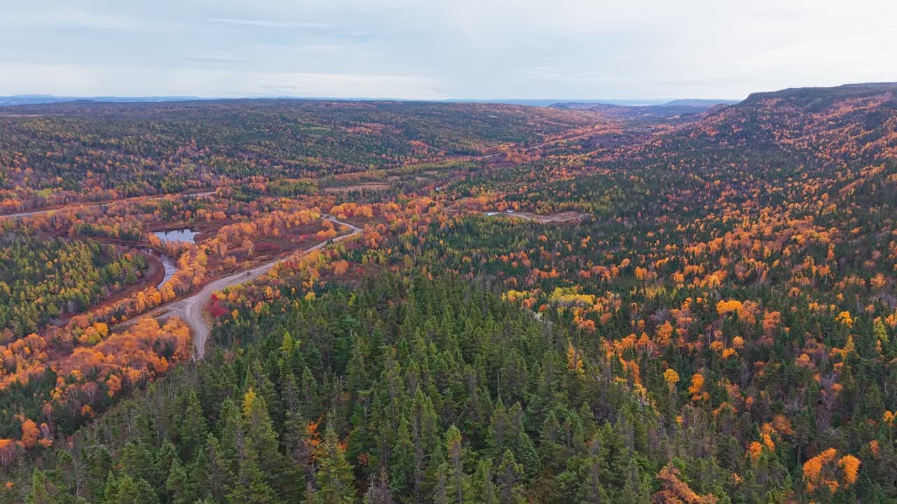 Drone footage shows dense evergreen and deciduous woodland with misty hills