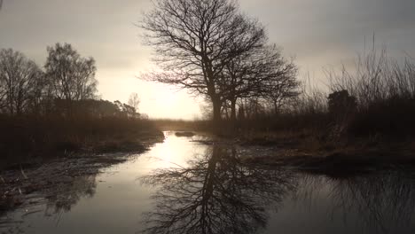 Sunrise Reflection in a Swampy Creek