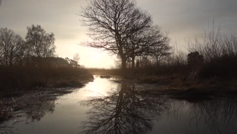 sunrise reflection in a swampy creek