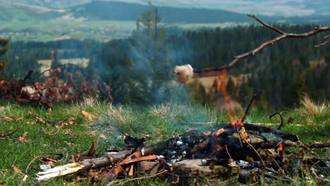 Cooking-food-on-camping-fireplace.-Pieces-of-pork-lard-grilling-on-bonfire