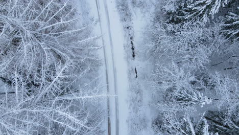 Snow-Covered-Country-Road-Near-Snow-Hill-Village-In-December-At-Deby,-Poland