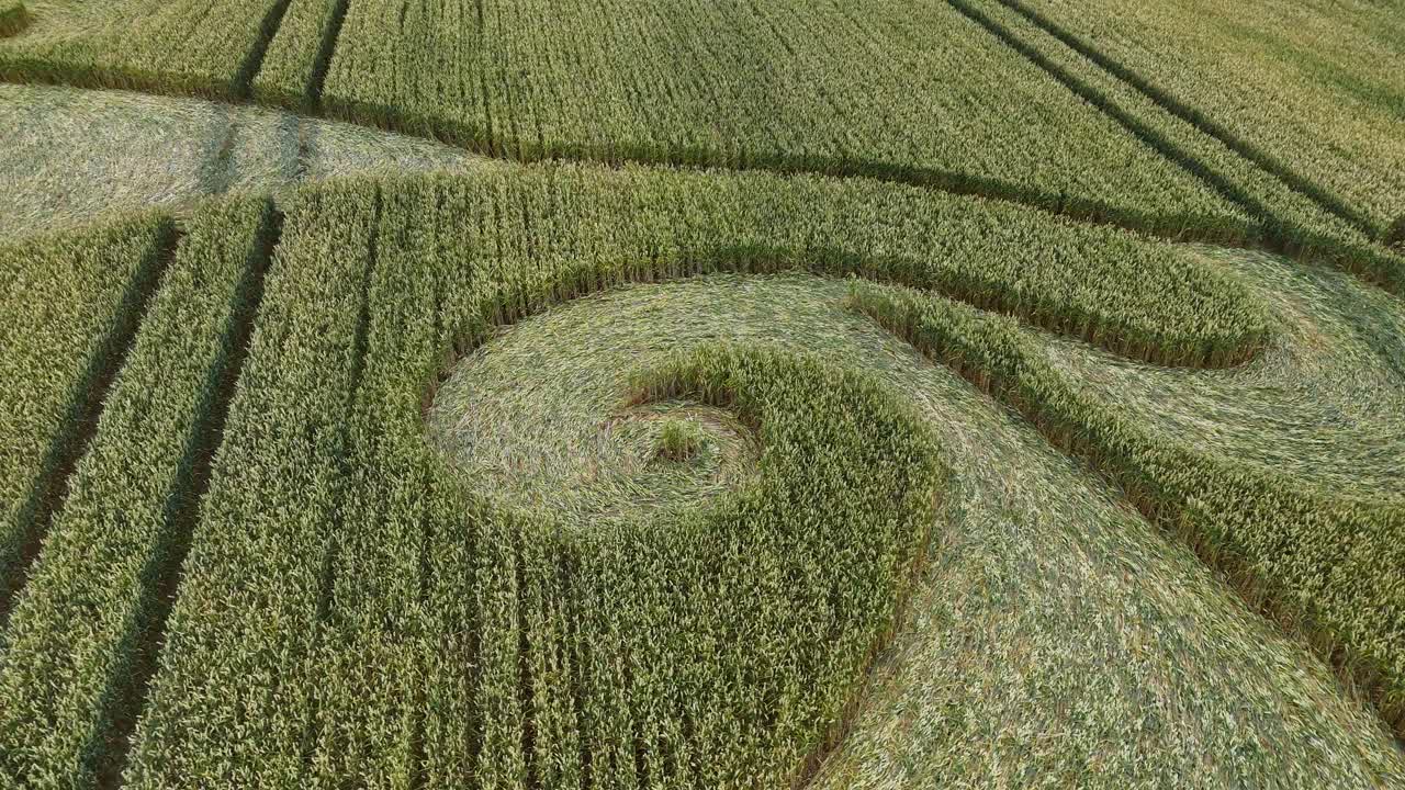 에치햄튼의 회전하는 만달라 작물 서클 (crop circle) 은 윌트셔 밀  위에서 회전하는 공중 사진입니다.