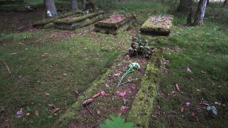 Fiori giacciono soli su una vecchia tomba ricoperta di vegetazione di ebrei sotto l'oppressione nazista.