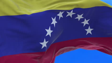 seamless loop of venezuela flag.