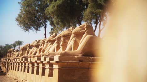 "road of rams" by the karnak temple in luxor, egypt.static shot with shallow depth of field