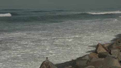 una vista de la costa en la reserva natural estatal de torrey pines en san diego, california