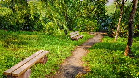 Bench-in-the-summer-park-with-old-trees-and-footpath