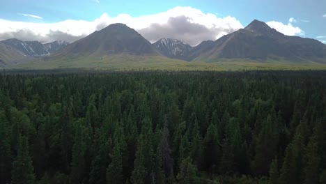 Impressive-summertime-flight-above-green-tree-dense-forest-towards-Yukon-Mount-Decoeli,-Archibald,-and-Kluane-rugged-brown-mountain-range-on-bright-blue-sunny-sky-day,-Canada,-overhead-aerial-approach