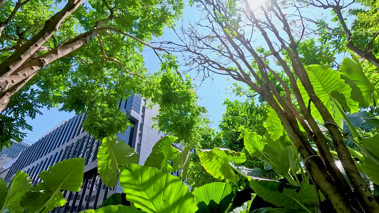 Lush green foliage under bright sunlight contrasts with modern skyscrapers in Bangkok, creating a serene urban oasis