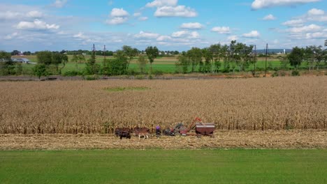 Altbewährte-Erntemethoden-In-Einer-Ruhigen-Ländlichen-Landschaft,-Wenn-Die-Herbstfarben-Auftauchen