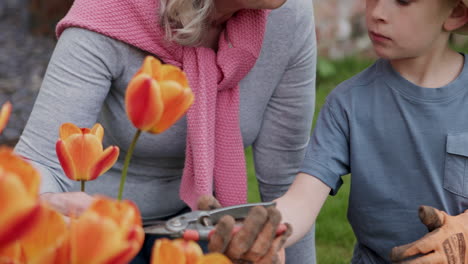 grandmother and grandson gardening