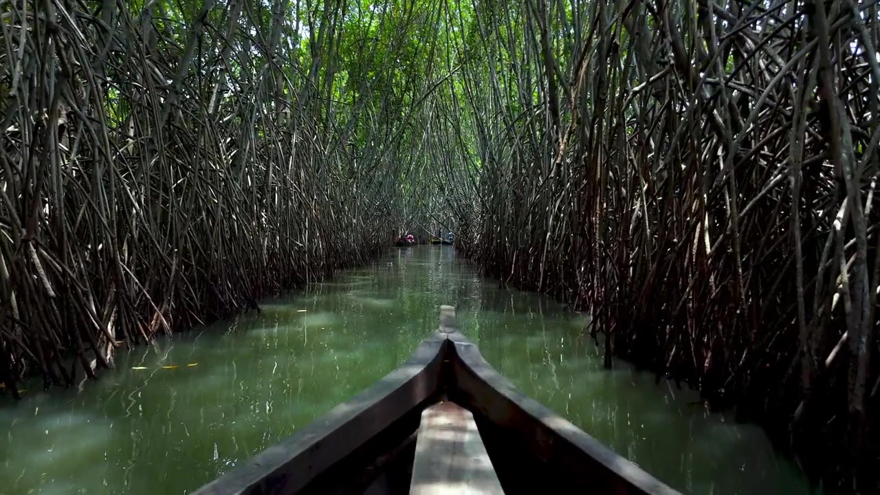 Viaggio in barca attraverso le mangrovie di Vakala: un sereno paesaggio tropicale delle backwaters con mangrovie verdi e lussureggianti. Le barche scivolano sull'ampia distesa d'acqua sotto un cielo azzurro e limpido, nelle Backwaters del Kerala.