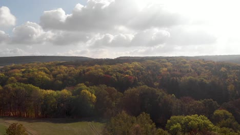 Antena:-Drone-Volando-Sobre-Un-Bosque-Colorido-En-Otoño-Con-Destello-De-Lente