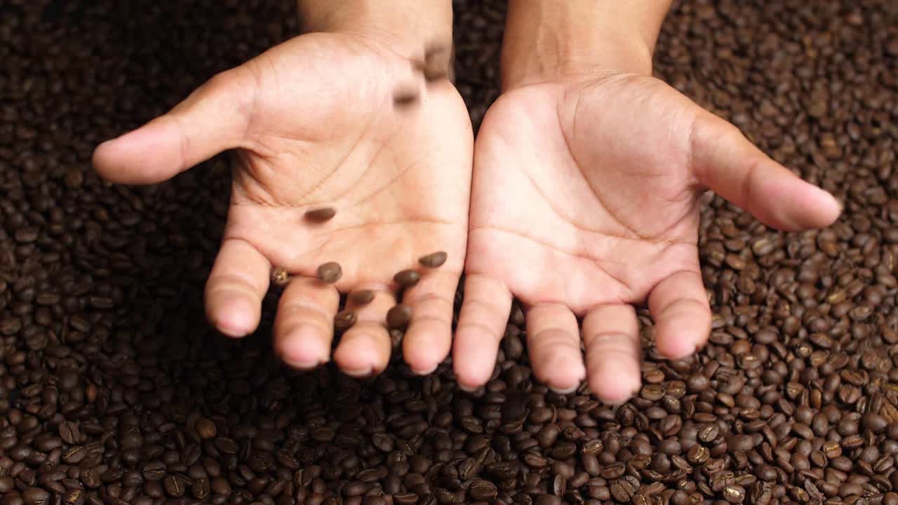 Roasted Coffee Beans Falling To Hands, Slow Motion