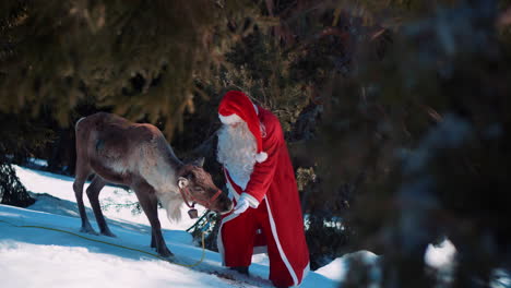 santa is standing in a middle forest covered with snow with a reindeer next to him