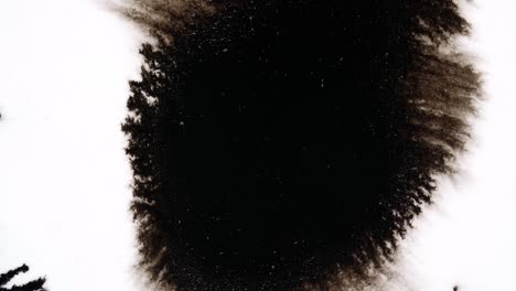 black ink drops on white background