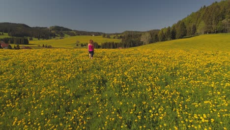 Wunderschöne-Drohnenverfolgung-Einer-Frau,-Die-Im-Frühling-Auf-Einer-Riesigen-Blühenden-Löwenzahnwiese-Spazieren-Geht