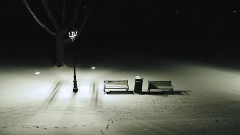 bench for two in mystic park