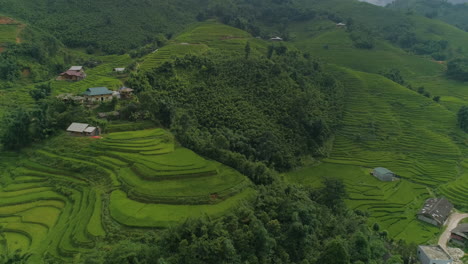 aerial shot revealing terraced rice fields in sapa vietnam