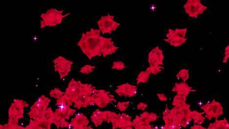 red rose particle loop animation