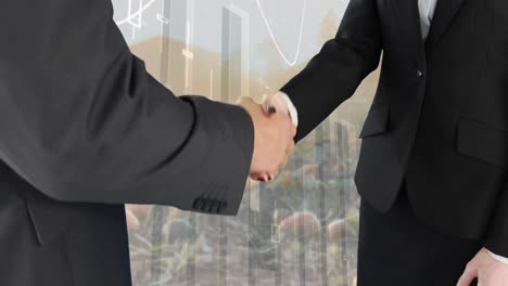 hand shake between business people 4k