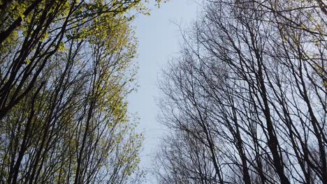 walking on a country side road, sunny summer day