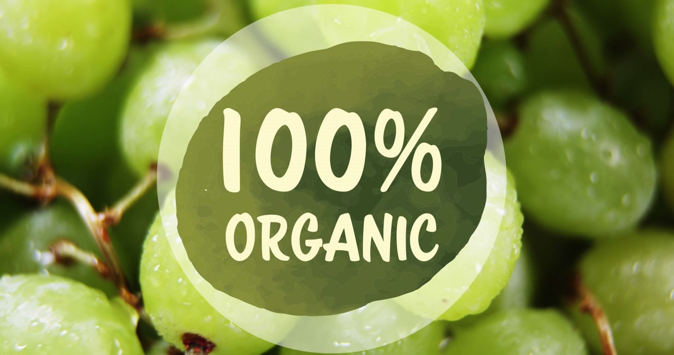 Animation of 100 percent organic text banner against close up of green grapes