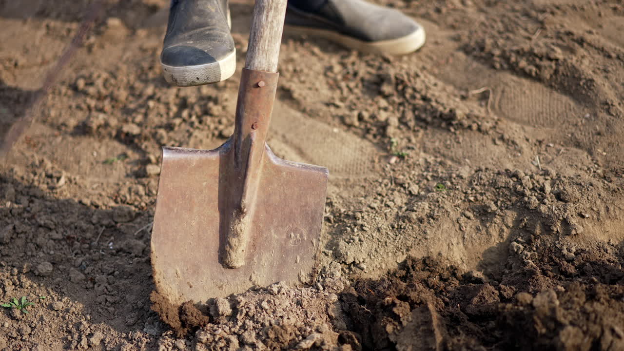 Unrecognized person digging the ground with a rusty shovel. Ground is prepared for the gardening season in spring.