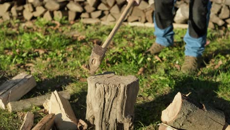 lumberjack chopping wood for winter, young man cutting firewood with an axe, close-up, slow-motion ready