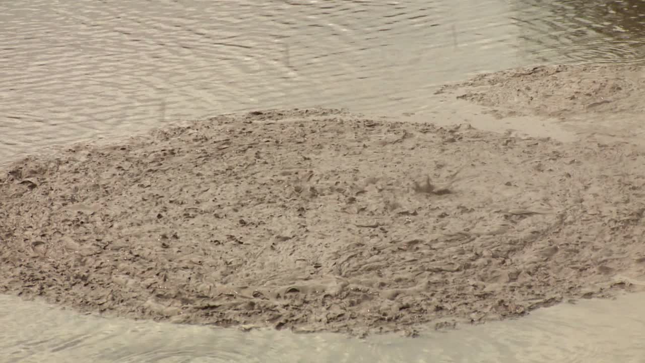 거품이 이는 진흙의 뜨거운 웅덩이는 뉴질랜드 로토루아 지역의 특징입니다.