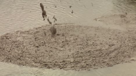 Piscinas-Calientes-De-Barro-Burbujeante-Son-Una-Característica-De-La-Región-De-Rotorua-De-Nueva-Zelanda